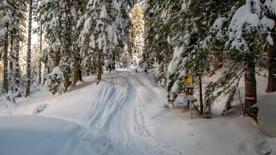 Winter Hiking Johnbacher Almenrunde - Touren-Impression #2.15 | © TV Gesäuse