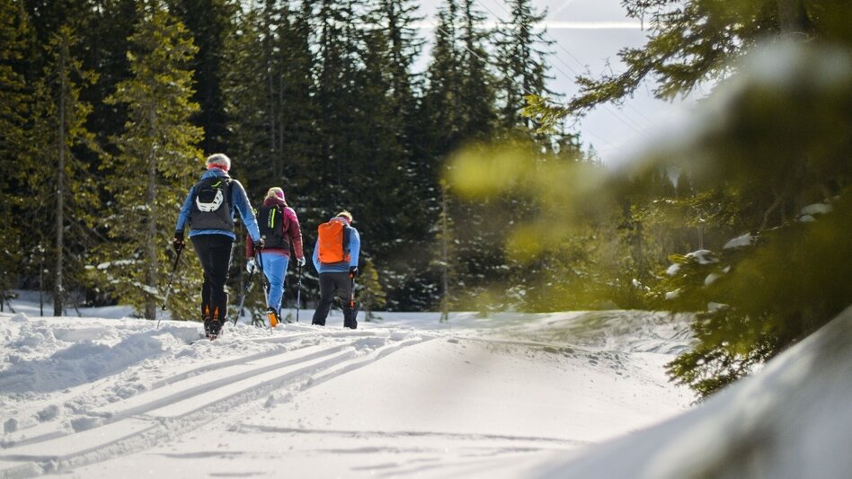 Ski Touring Fageralm Tour - Touren-Impression #2.2 | © Reiteralm Bergbahnen