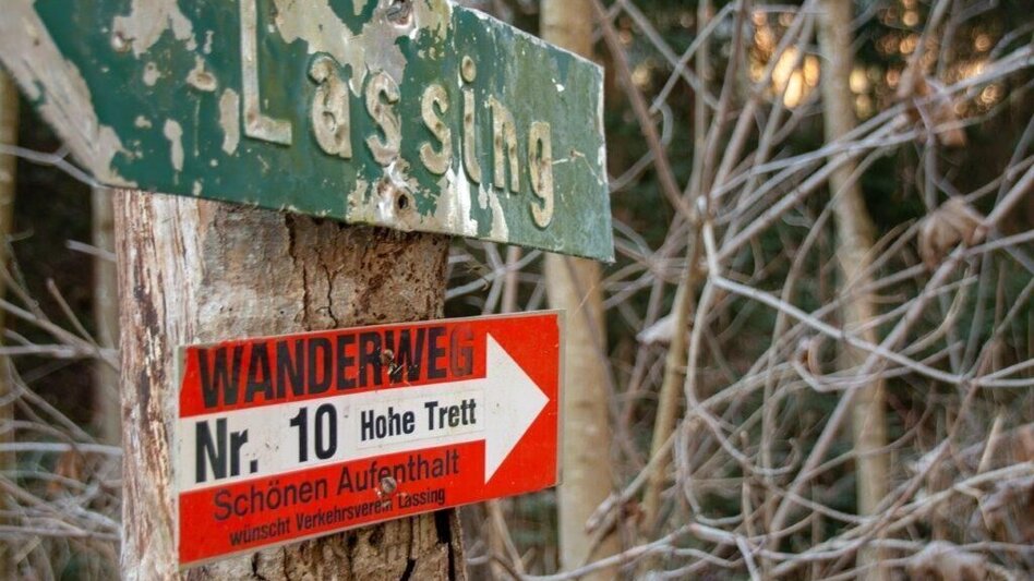 Wanderung Hohe Trett / Stein - Touren-Impression #2.3 | © TV Gesäuse