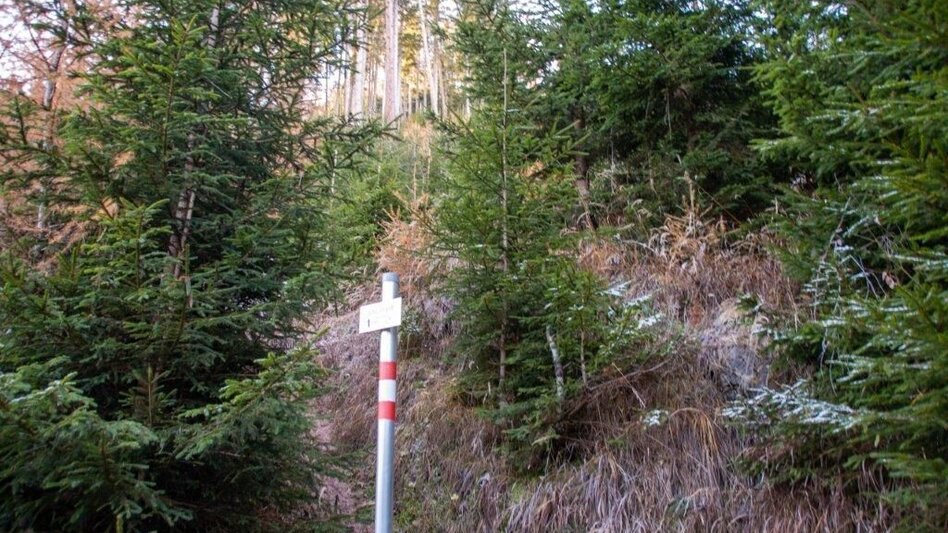 Wanderung Hohe Trett / Stein - Touren-Impression #2.6 | © TV Gesäuse
