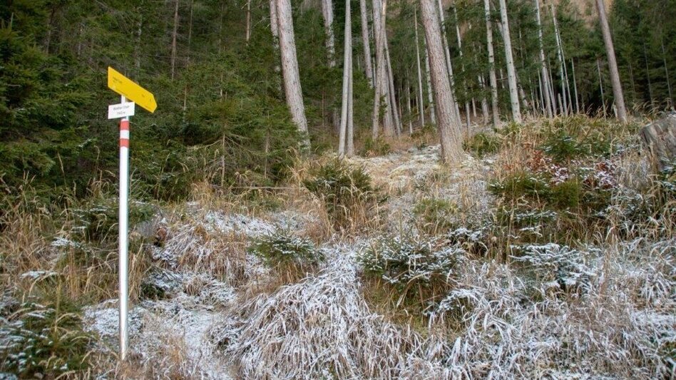 Wanderung Hohe Trett / Stein - Touren-Impression #2.7 | © TV Gesäuse