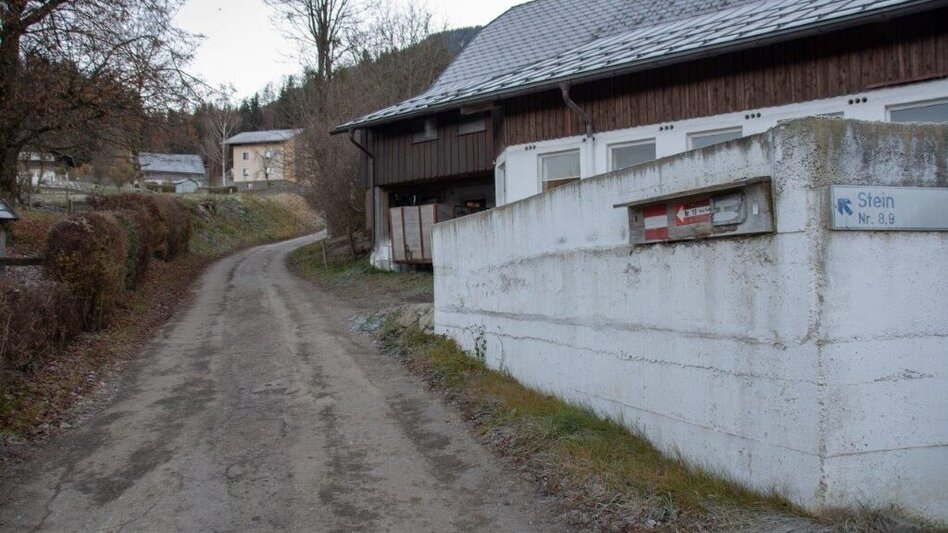 Wanderung Hohe Trett / Stein - Touren-Impression #2.13 | © TV Gesäuse