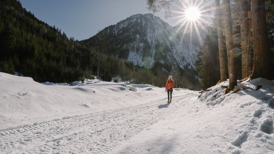 Winter Hiking Winter Hike Ofenstegweg - Touren-Impression #2.2 | © Erlebnisregion Schladming-Dachstein