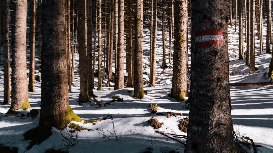 Winter Hiking Winter Hike Ofenstegweg - Touren-Impression #2.3 | © Erlebnisregion Schladming-Dachstein