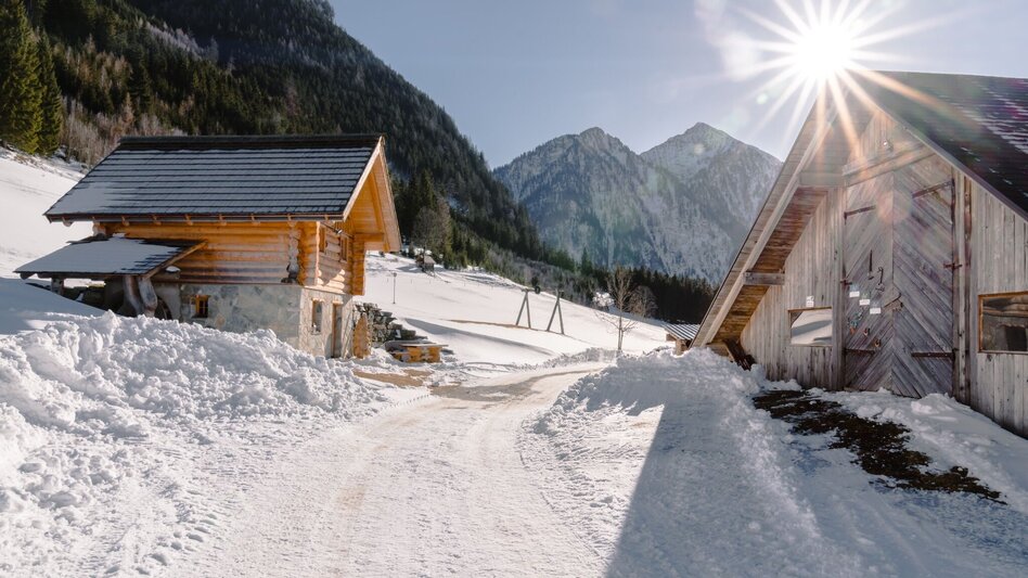 Winter Hiking Winter Hike Ofenstegweg - Touren-Impression #2.9 | © Erlebnisregion Schladming-Dachstein