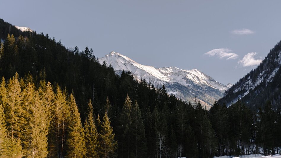 Winter Hiking Winter Hike Ofenstegweg - Touren-Impression #2.11 | © Erlebnisregion Schladming-Dachstein