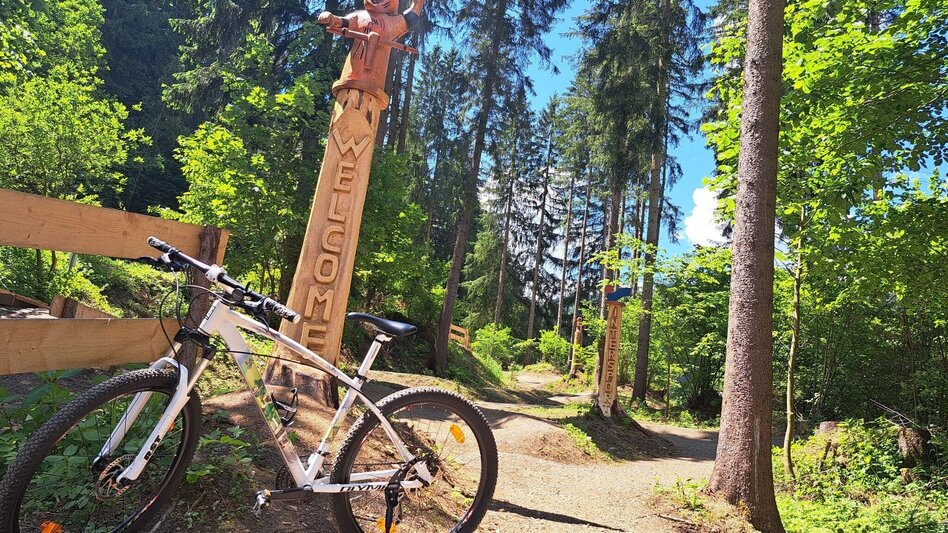 Mountainbike Tour 19a, c, d - MTB - Sendertrail Judenburg - Touren-Impression #2.5 | © Erlebnisregion Murtal
