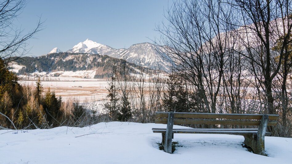 Winter Hiking Winterwandern - Moosberg Runde - Touren-Impression #2.2 | © Erlebnisregion Schladming-Dachstein