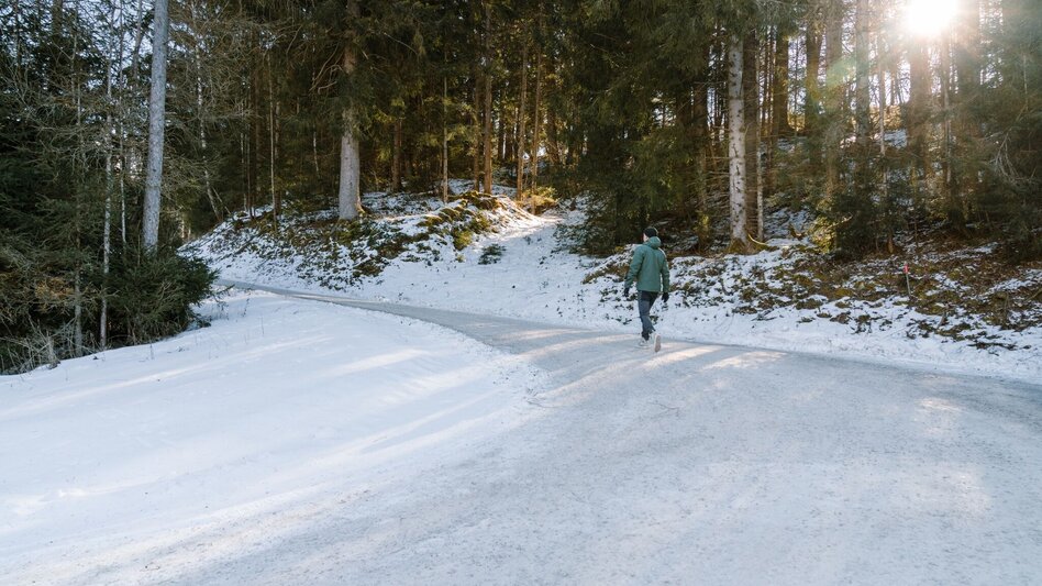 Winter Hiking Winterwandern - Moosberg Runde - Touren-Impression #2.3 | © Erlebnisregion Schladming-Dachstein
