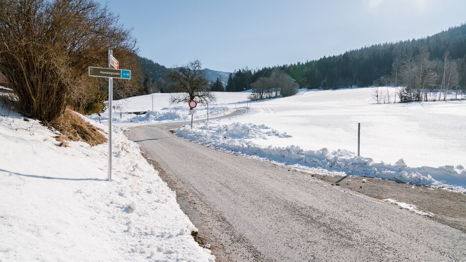 Winter Hiking Winterwandern - Moosberg Runde - Touren-Impression #2.4 | © Erlebnisregion Schladming-Dachstein