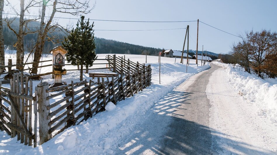 Winter Hiking Winterwandern - Moosberg Runde - Touren-Impression #2.5 | © Erlebnisregion Schladming-Dachstein