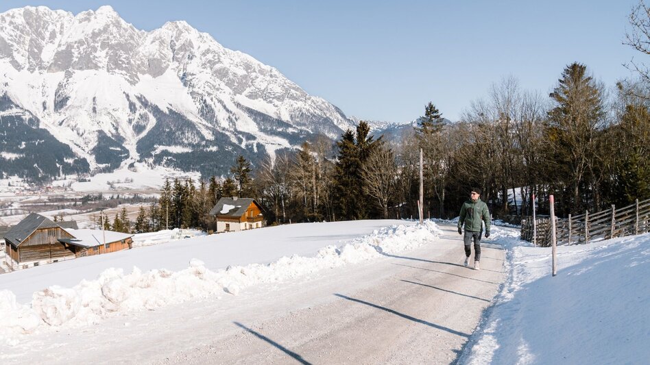 Winter Hiking Winterwandern - Moosberg Runde - Touren-Impression #2.6 | © Erlebnisregion Schladming-Dachstein