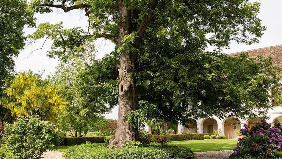 Panoramatouren/Themenstraßen Schlösserstraße - Touren-Impression #2.2 | © Schloss Welsdorf