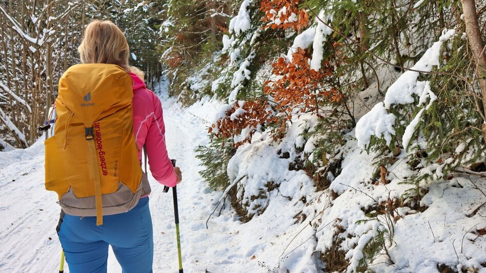 Winter Hiking On the Mugel in winter - High above Leoben - Touren-Impression #2.1 | © Weges OG