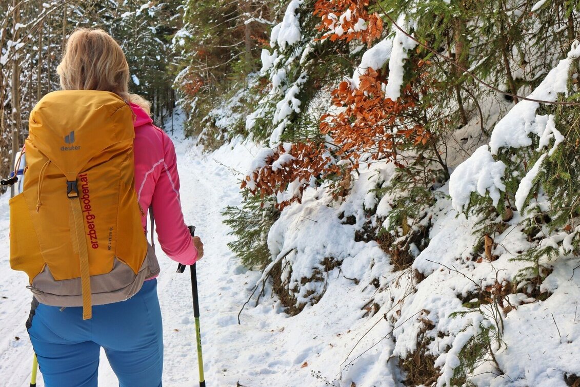 Winter Hiking On the Mugel in winter - High above Leoben - Touren-Impression #1 | © Weges OG