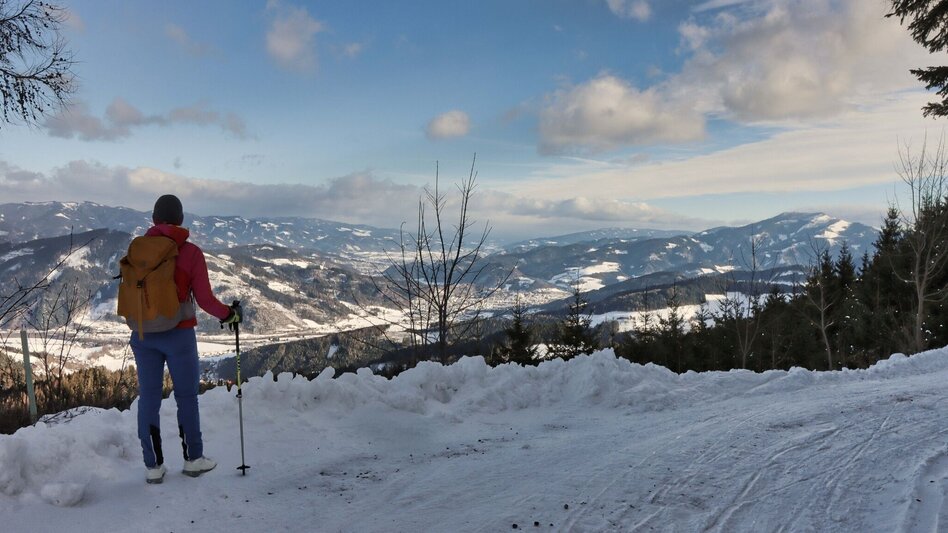 Winter Hiking On the Mugel in winter - High above Leoben - Touren-Impression #2.4 | © Weges OG