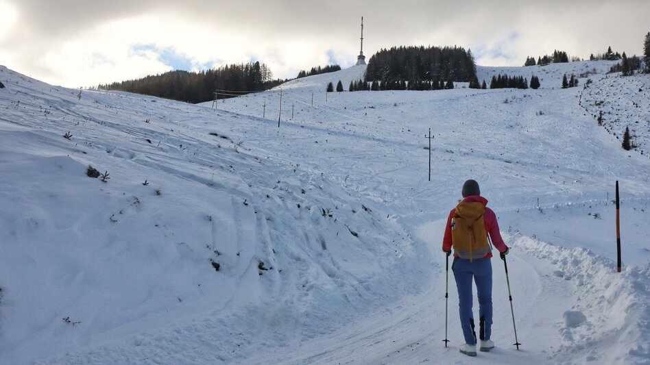 Winter Hiking On the Mugel in winter - High above Leoben - Touren-Impression #2.6 | © Weges OG