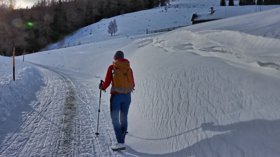 Winter Hiking On the Mugel in winter - High above Leoben - Touren-Impression #2.7 | © Weges OG