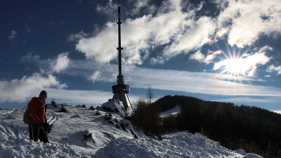 Winter Hiking On the Mugel in winter - High above Leoben - Touren-Impression #2.9 | © Weges OG