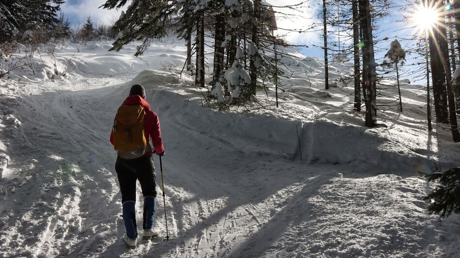Winter Hiking On the Mugel in winter - High above Leoben - Touren-Impression #2.10 | © Weges OG