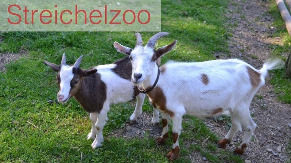 Themen- und Lehrpfad Auf Spurensuche im Römerwald, St. Lorenzen am Wechsel - Touren-Impression #2.4