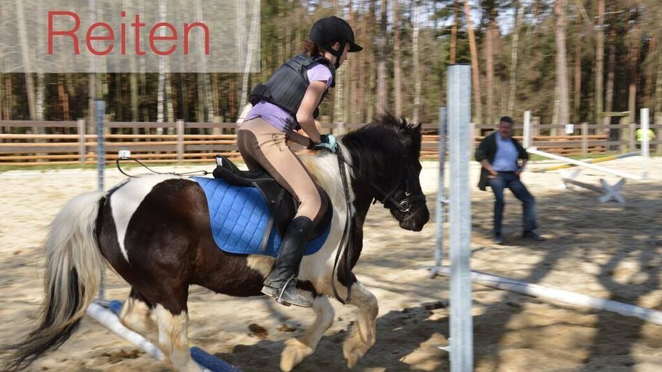 Themen- und Lehrpfad Auf Spurensuche im Römerwald, St. Lorenzen am Wechsel - Touren-Impression #2.5
