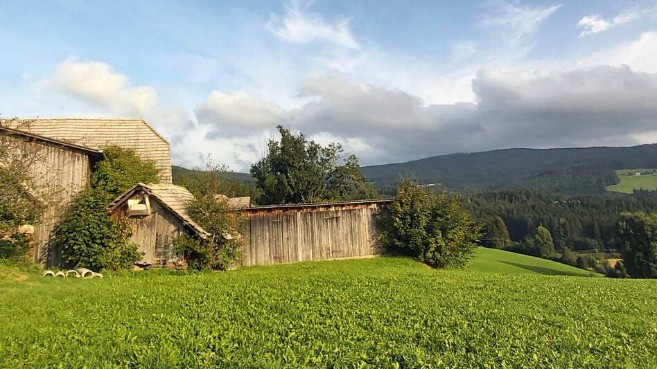 Hiking route Strallegger Höllweg, Strallegg - Touren-Impression #2.4 | © Oststeiermark Tourismus
