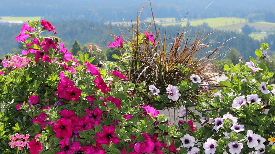 Hiking route Strallegger Höllweg, Strallegg - Touren-Impression #2.5 | © Gemeinde Strallegg