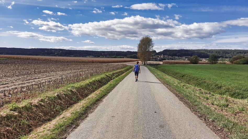 Hiking route Safentalweg Bad Blumau - Touren-Impression #2.1 | © Thermen- & Vulkanland