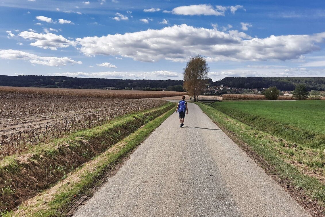 Hiking route Safentalweg Bad Blumau - Touren-Impression #1 | © Thermen- & Vulkanland