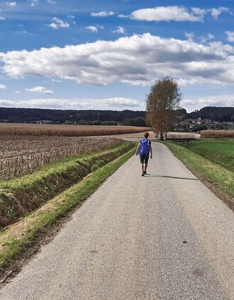 Weite Landschaft | Weges OG | © Thermen- & Vulkanland