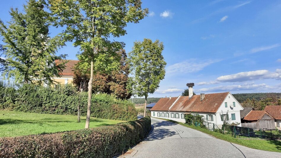 Hiking route Safentalweg Bad Blumau - Touren-Impression #2.9 | © Thermen- & Vulkanland