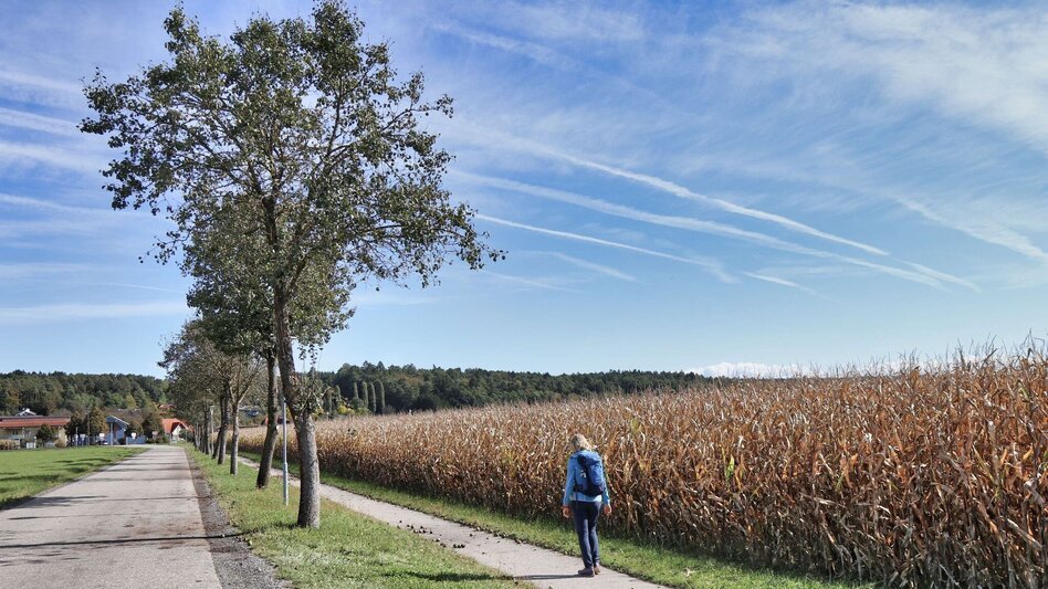 Hiking route Safentalweg Bad Blumau - Touren-Impression #2.24 | © Thermen- & Vulkanland