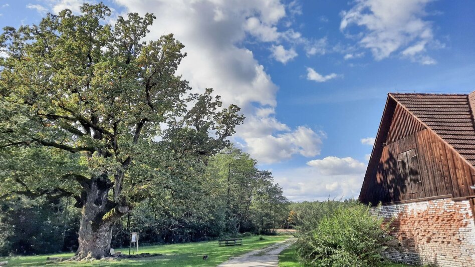 Hiking route Safentalweg Bad Blumau - Touren-Impression #2.22 | © Thermen- & Vulkanland