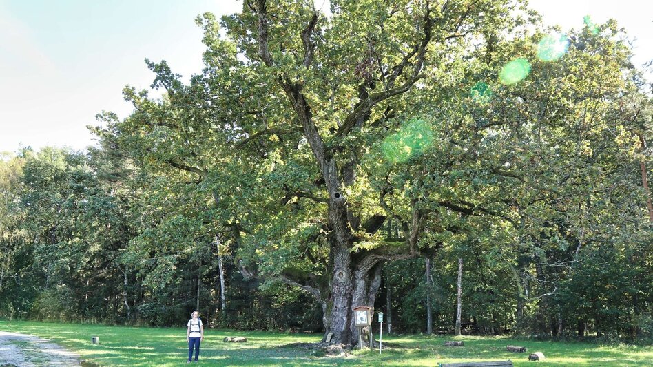 Hiking route Safentalweg Bad Blumau - Touren-Impression #2.25 | © TV Thermen- & Vulkanland