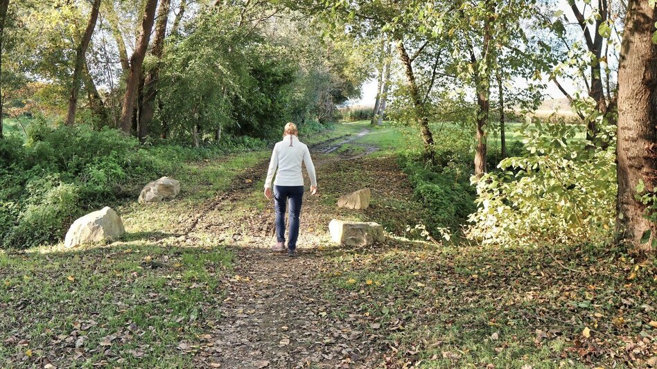 Hiking route Safentalweg Bad Blumau - Touren-Impression #2.5 | © Thermen- & Vulkanland