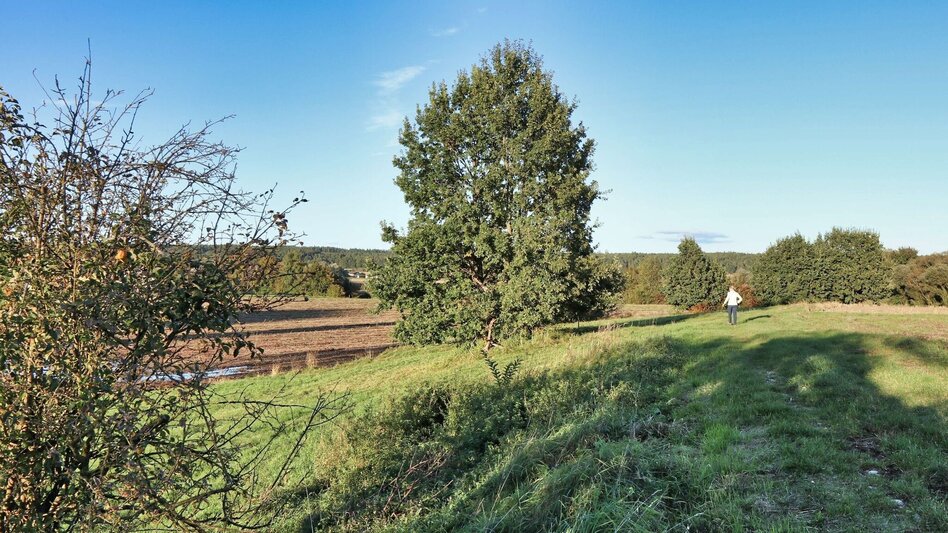 Hiking route Safentalweg Bad Blumau - Touren-Impression #2.23 | © Thermen- & Vulkanland