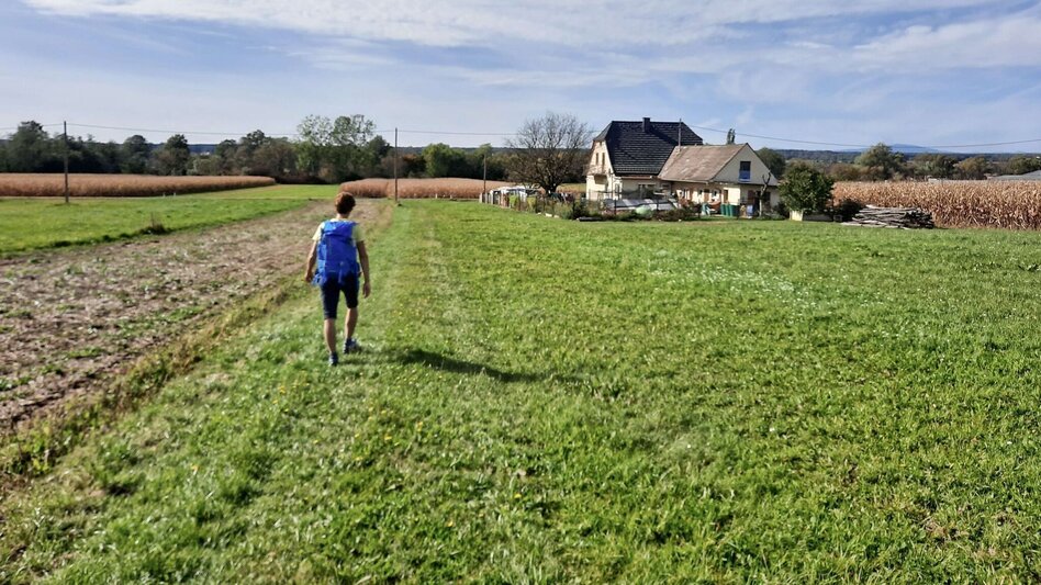 Hiking route Kuruzzen hiking trail Burgau - Touren-Impression #2.11 | © Thermen- & Vulkanland