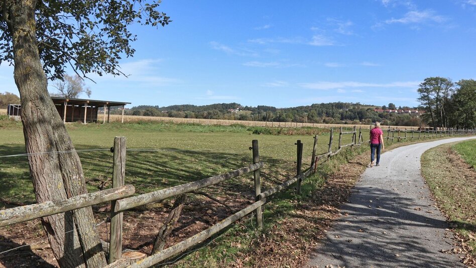 Hiking route Kuruzzen hiking trail Burgau - Touren-Impression #2.1 | © Thermen- & Vulkanland