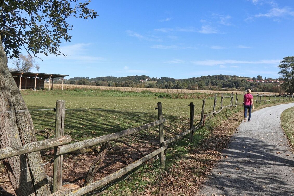 Hiking route Kuruzzen hiking trail Burgau - Touren-Impression #1 | © Thermen- & Vulkanland