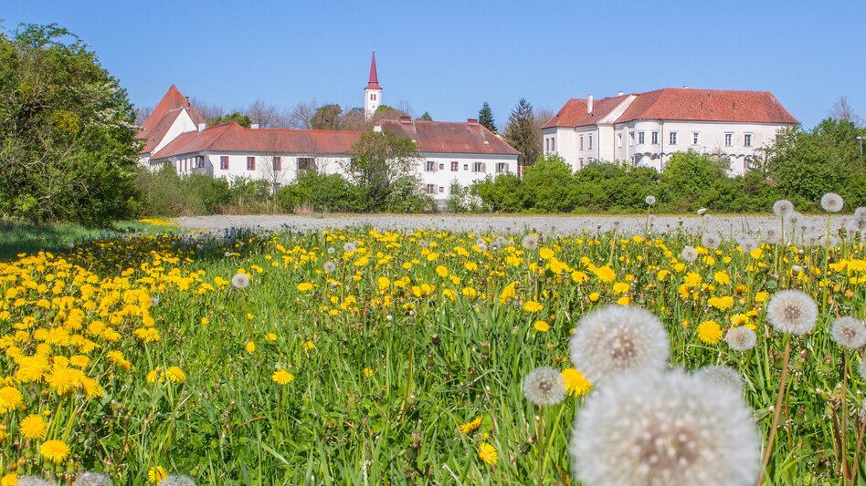 Hiking route Kuruzzen hiking trail Burgau - Touren-Impression #2.18 | © Sandra Brünner