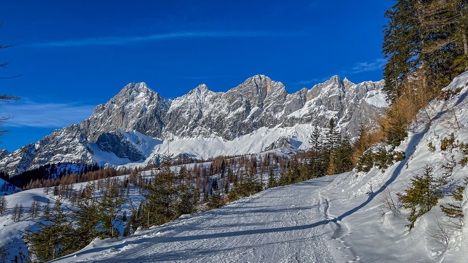 Skitour Skitour zur Brandalm - Touren-Impression #2.1 | © Erlebnisregion Schladming-Dachstein