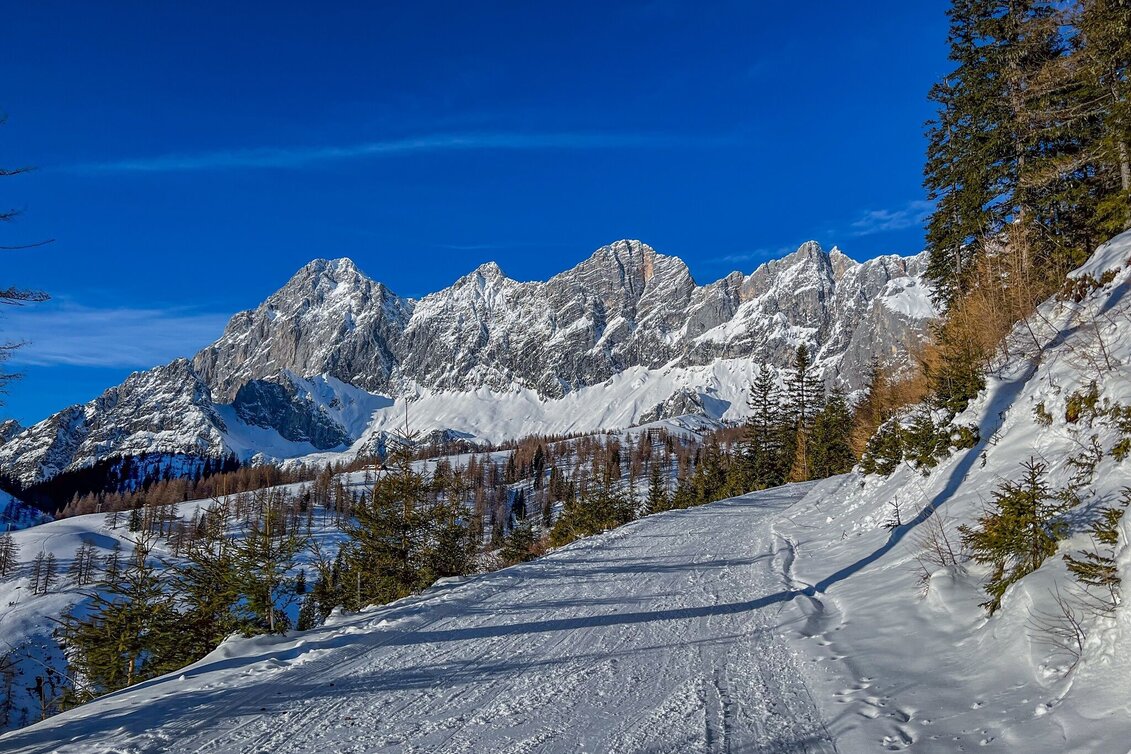 Skitour Skitour zur Brandalm - Touren-Impression #1 | © Erlebnisregion Schladming-Dachstein