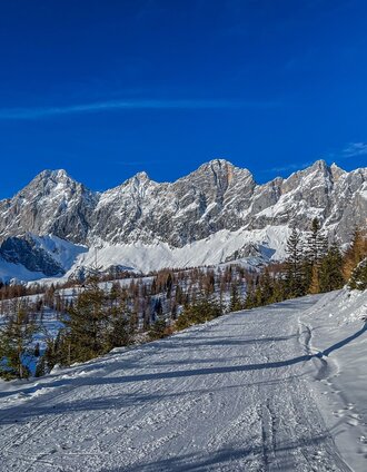 Kurz vor der Brandalm am Skiweg mit Blick auf das Dachsteinmassiv und das darunterliegende Almgebiet | René Eduard Perhab | © Erlebnisregion Schladming-Dachstein