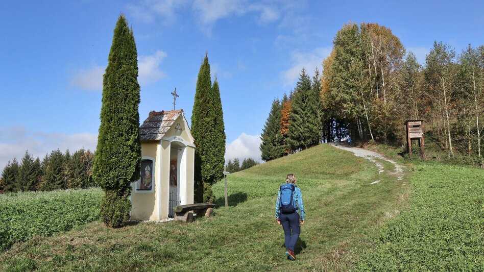 Wanderung Rundwanderung Eichkögl und Fladnitzberg - Touren-Impression #2.1 | © Thermen- & Vulkanland