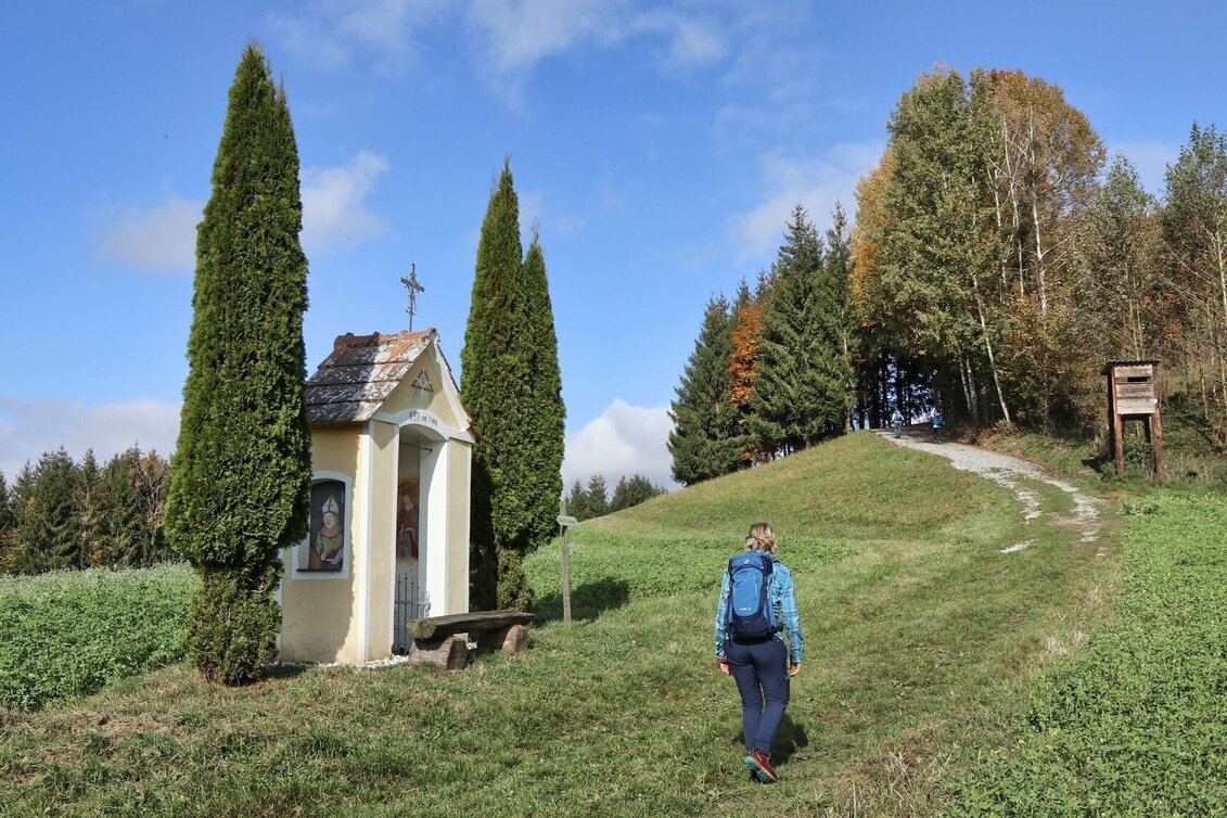 Wanderung Rundwanderung Eichkögl und Fladnitzberg - Touren-Impression #1 | © Thermen- & Vulkanland