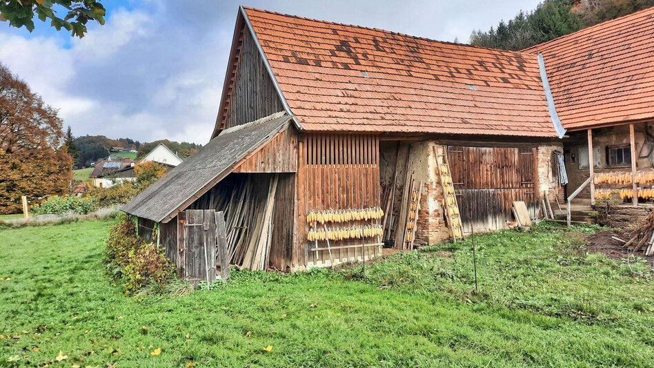 Wanderung Rundwanderung Eichkögl und Fladnitzberg - Touren-Impression #2.2 | © Thermen- & Vulkanland