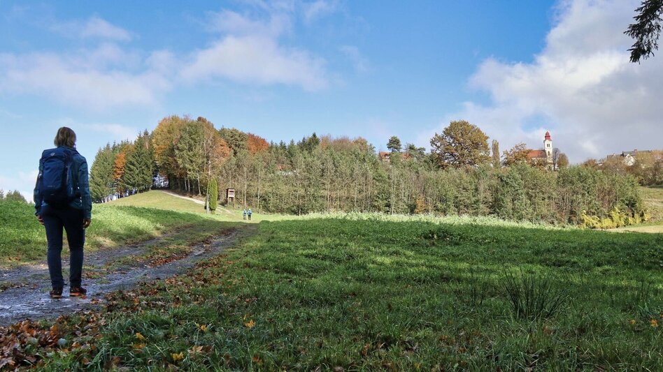 Wanderung Rundwanderung Eichkögl und Fladnitzberg - Touren-Impression #2.4 | © Thermen- & Vulkanland