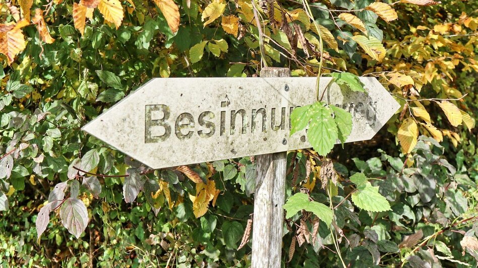 Wanderung Rundwanderung Eichkögl und Fladnitzberg - Touren-Impression #2.5 | © Thermen- & Vulkanland
