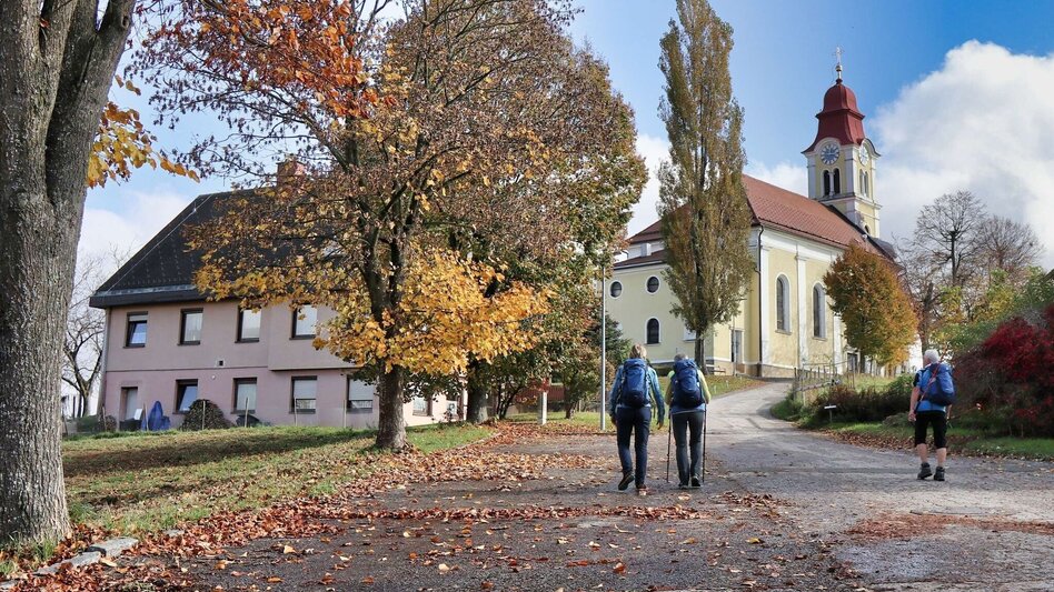 Wanderung Rundwanderung Eichkögl und Fladnitzberg - Touren-Impression #2.6 | © Thermen- & Vulkanland